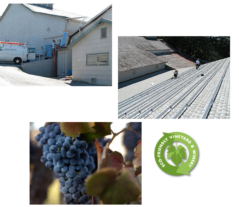 Eco-friendly winery