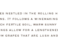Big and Bold Wines